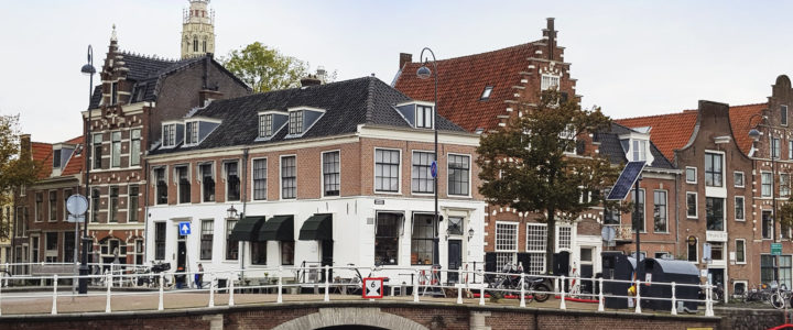 Haarlem, Bakenes